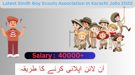 Latest Sindh Boy Scouts Association in Karachi Jobs 2023